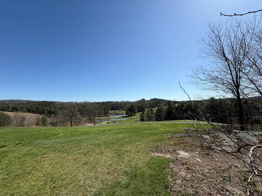 Laurel Fork, VA 24352,TBD Lake Bend Trail