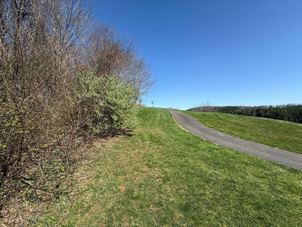 Laurel Fork, VA 24352,TBD Lake Bend Trail