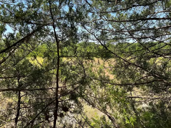 Whitewright, TX 75491,TBD Bethel Cannon Road