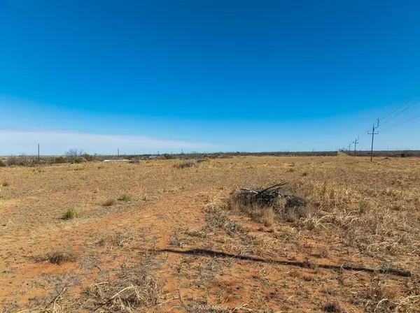 Colorado City, TX 79512,TBD CR 311