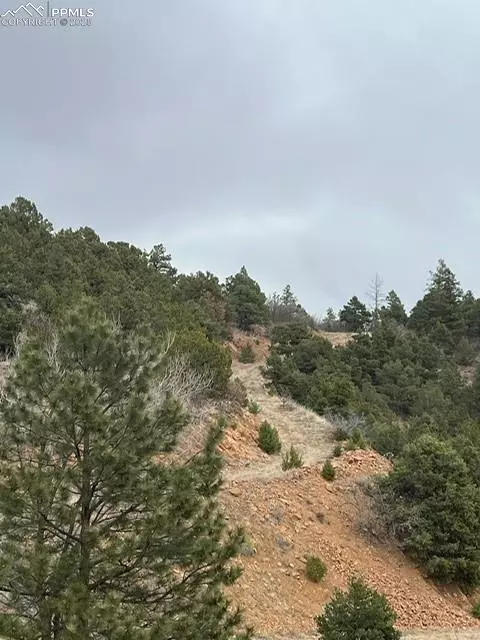 Colorado Springs, CO 80926,3735 Big Spruce HTS