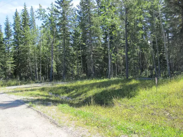 Rural Clearwater County, AB T0M 0M0,1 BOUNDARY