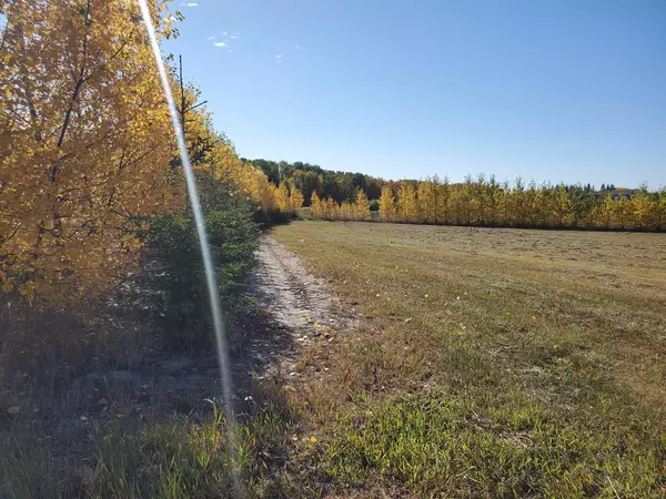 68126 Campsite Road, Plamondon, AB T0A 2T0