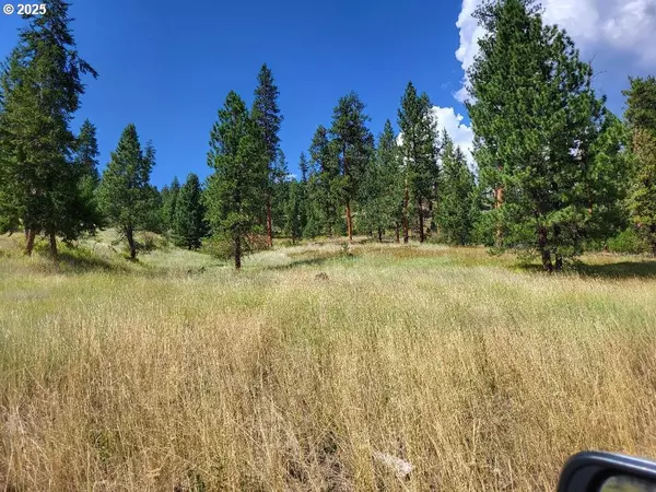 Middle Fork, Bates, OR 97817
