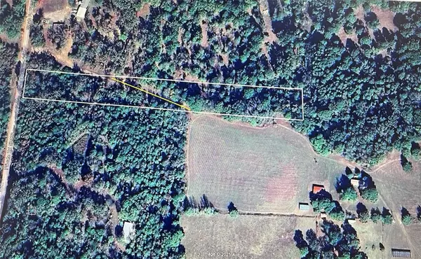 Leesburg, TX 75451,TBD Private Road 52423