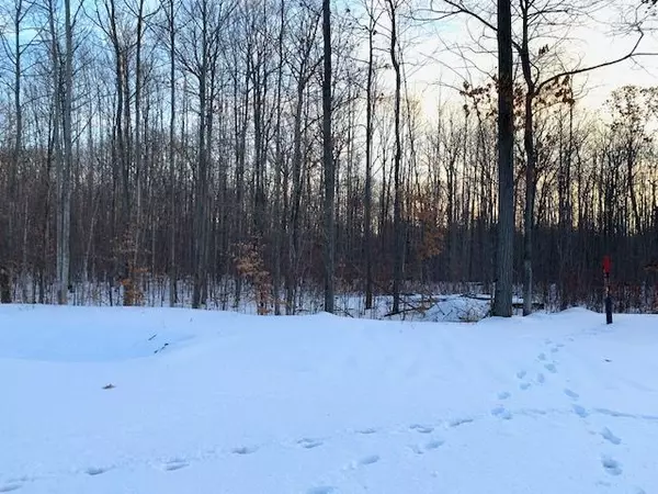 Tiny, ON L0M 0C2,Lot 64 Whispering Pine CIR