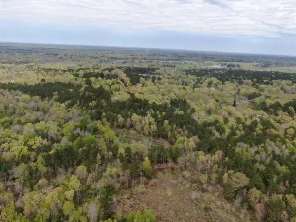 Stonewall, LA 71078,512 Rosemary Lane