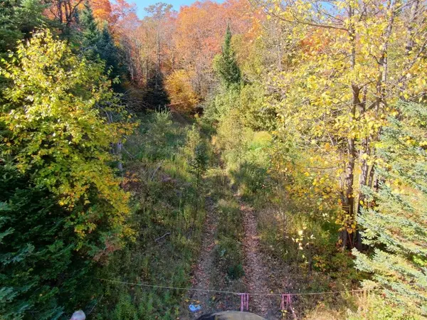 CON EHR PT LOT 25 M-25 LOT 4 N/A, Bancroft, ON K0L 1C0