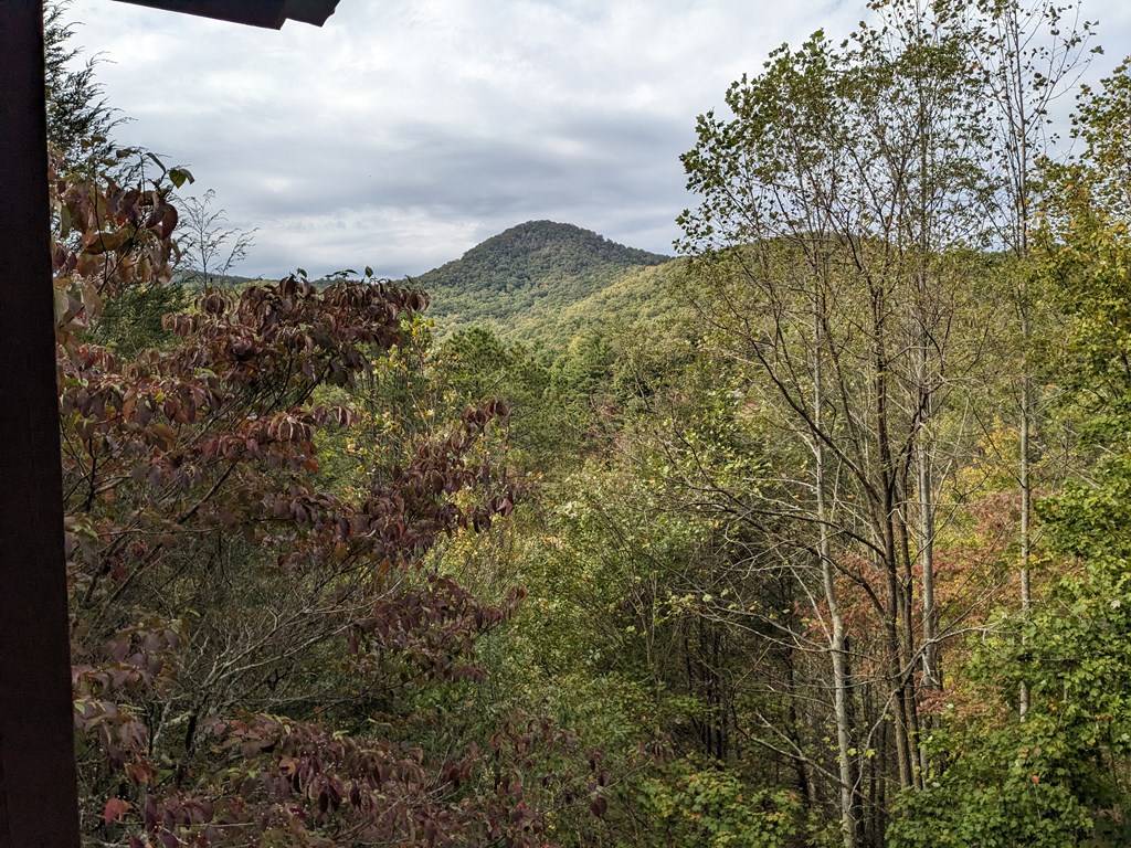Hiawassee, GA 30546,1702 Sheep Cliff Road