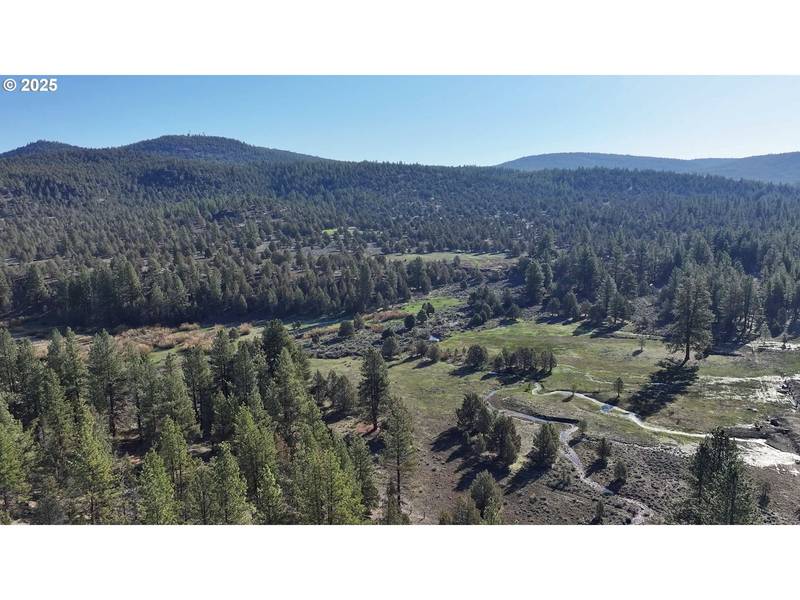 Yellow Jacket Spring RD #L-200, Beatty, OR 97621