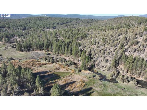 Yellow Jacket Spring RD #L-200, Beatty, OR 97621