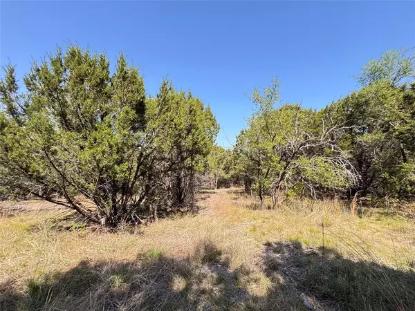 Glen Rose, TX 76070,1036 Creek Crossing Road