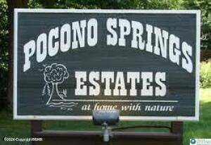 Wayne County, PA 18424,Cobblewood Road