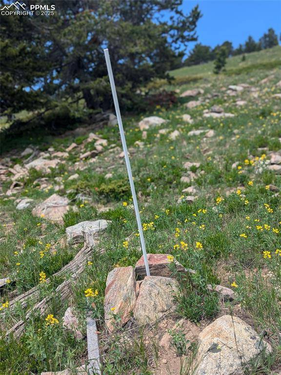 Black Hawk, CO 80422,UPPER APEX RD
