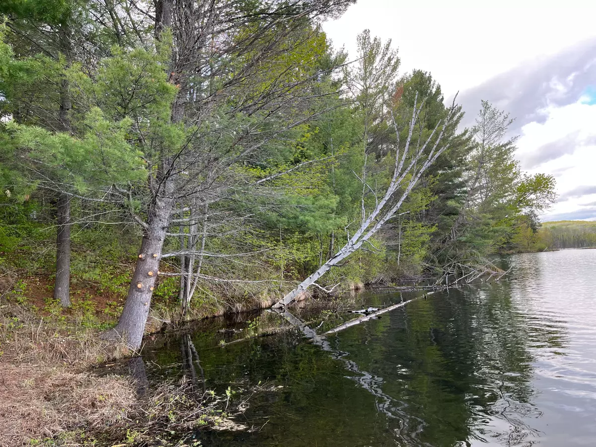 Madawaska Valley, ON K0J 1B0,Lot 13 Sandy Shores TRL