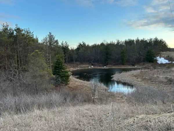 Kawartha Lakes, ON L0A 1A0,0 Highway 35 N/A