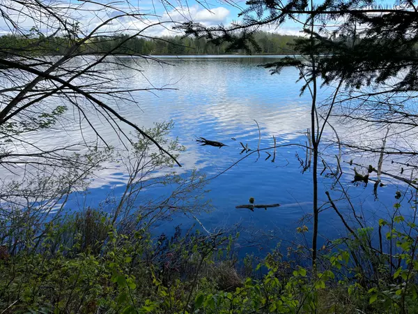 Madawaska Valley, ON K0J 1B0,Lot 13 Sandy Shores TRL