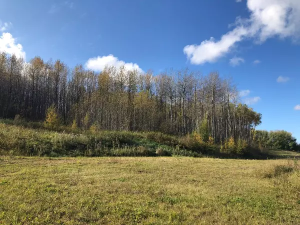 Plamondon, AB T0A 2T0,16326 Twp Rd 675 #111