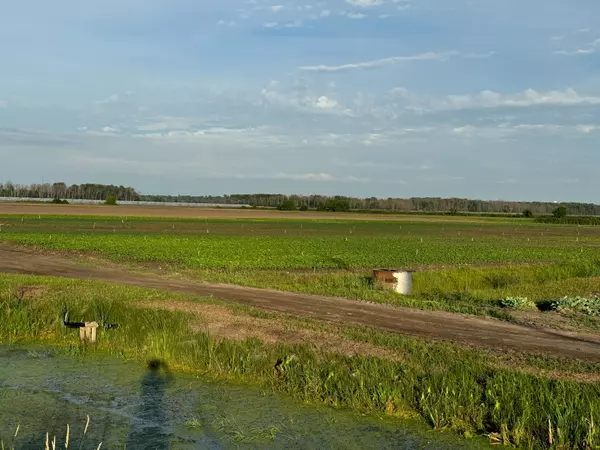 East Gwillimbury, ON L0G 1R0,571 Ravenshoe RD
