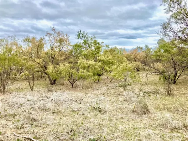 Moran, TX 76464,TBD 100AC Hwy 6