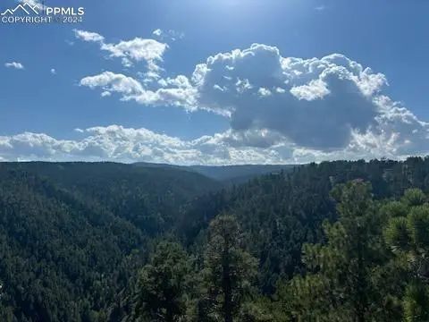 13912 Woodmoor West DR, Larkspur, CO 80118