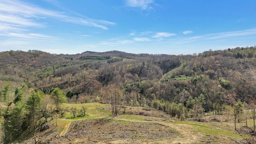 Mouth Of Wilson, VA 24363,TBD Highlands Parkway