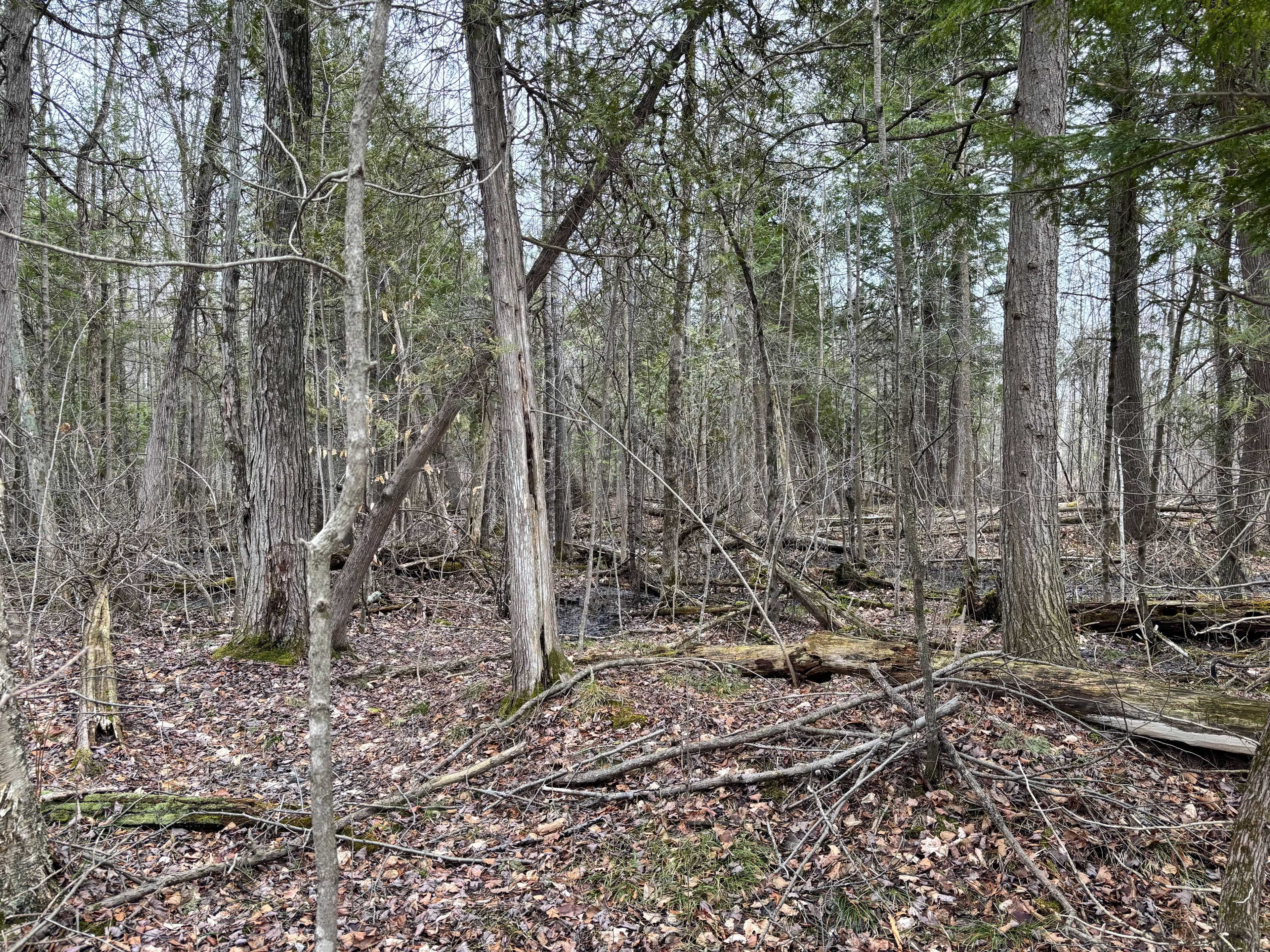 Augusta, ON K6V 5T2,0 DIXON RD