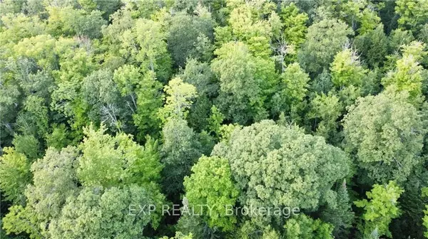 Madawaska Valley, ON K0J 1B0,Lot B Chippawa RD