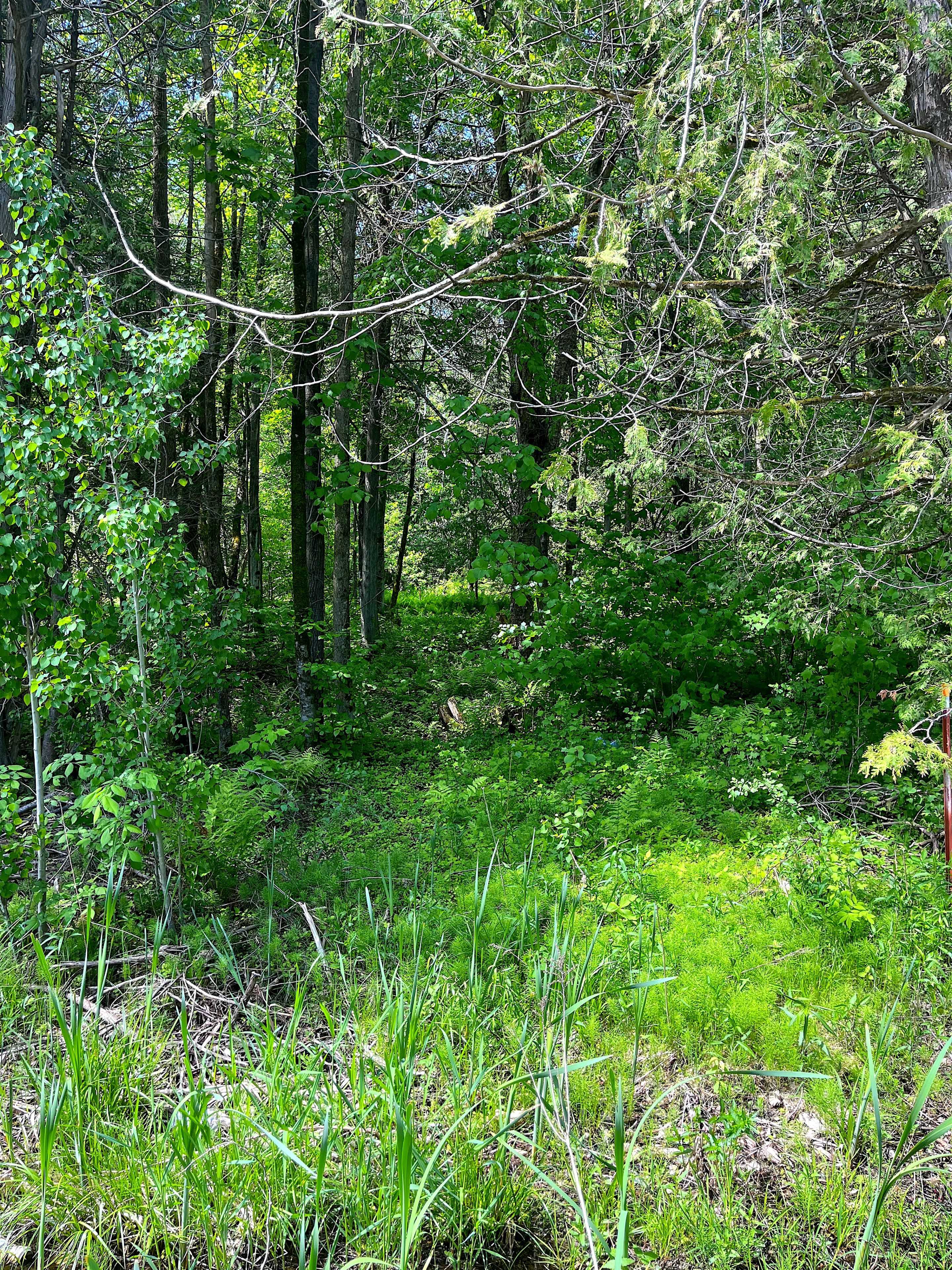 Horton, ON K7V 3Z8,00 Johnston RD W