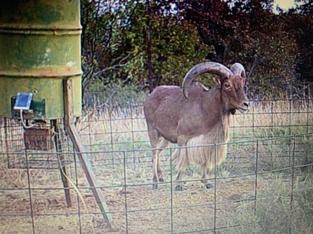 Jacksboro, TX 76458,4976 4976 Fm 2190
