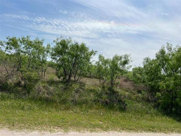 Comanche, TX 76442,TBD Industrial Blvd