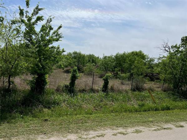 Comanche, TX 76442,TBD Industrial Blvd