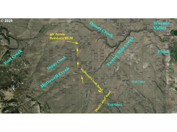 Plush, OR 97637,McDowell Creek RD #TL 204