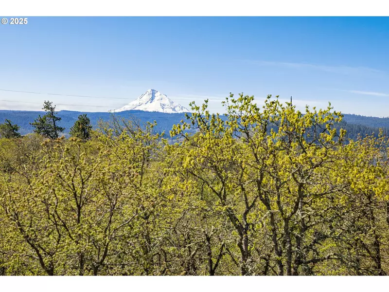 1075 MORGENSEN RD, Mosier, OR 97040