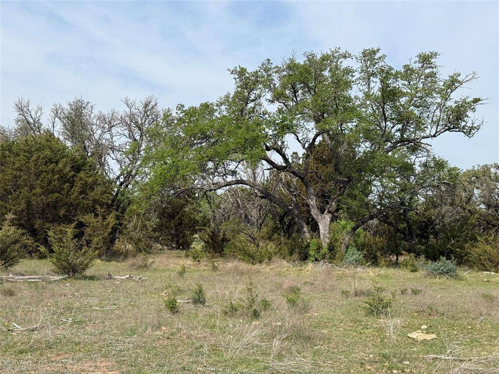 Goldthwaite, TX 76844,60 S County Road 411
