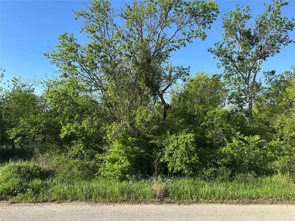 Ranger, TX 76470,TBD Lot A Spring Road