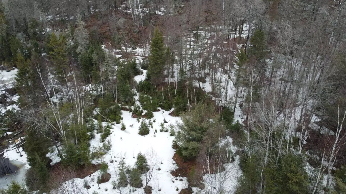 North Bay, ON P1B 8G2,1140 Widdifield Station RD