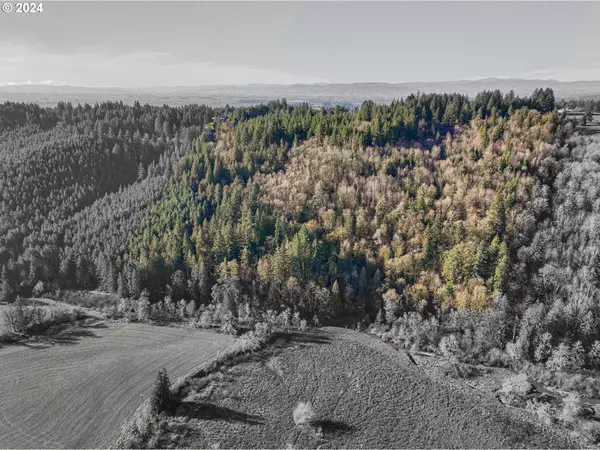 North Plains, OR 97133,15800 NW MEAD LN