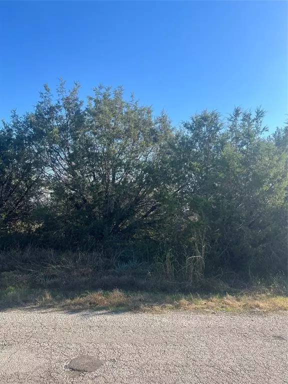 Granbury, TX 76048,2921 BLACKJACK Lane