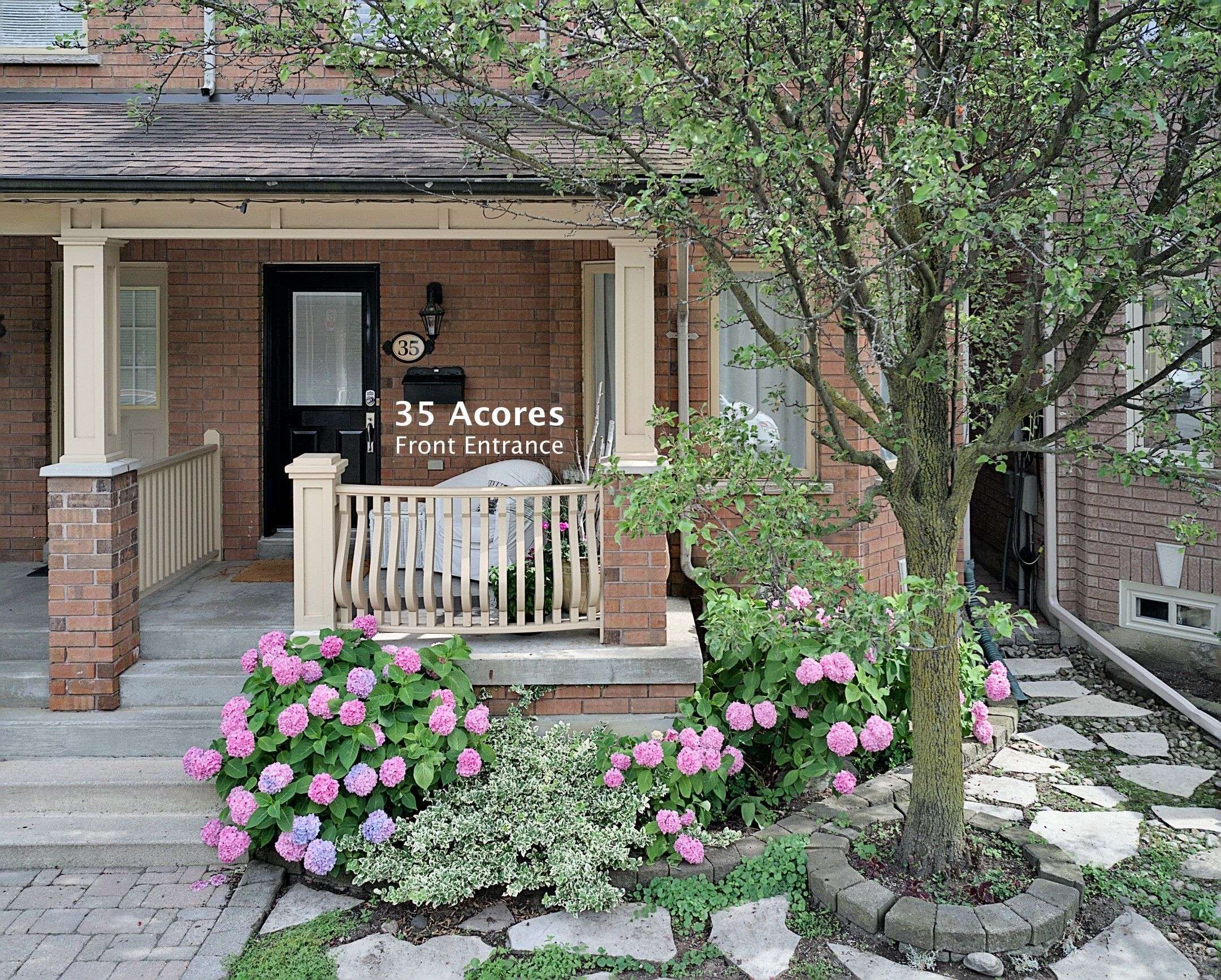 Toronto C02, ON M6G 4B4,35 Acores AVE