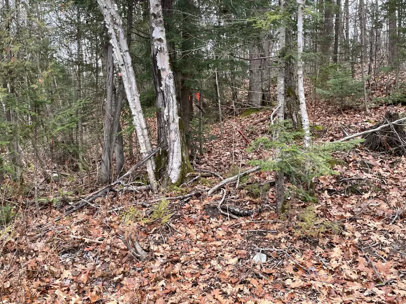 48 SPRING HILL RD N/A, Mckellar, ON P0G 1C0