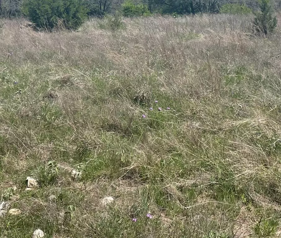 Wolfe City, TX 75496,325 Fm 1566 W