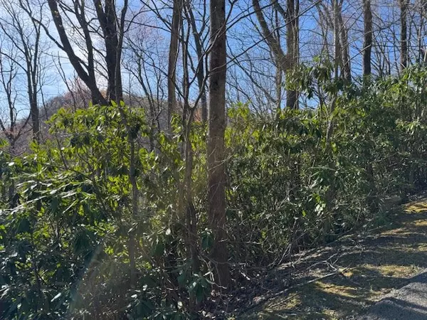Hillsville, VA 24343,TBD Antler Point