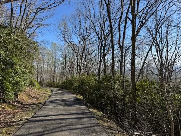 Hillsville, VA 24343,TBD Antler Point