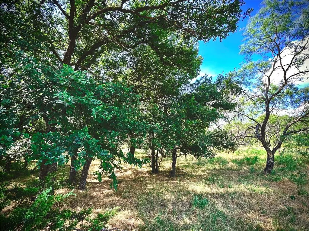 Perrin, TX 76486,10840 281 Highway
