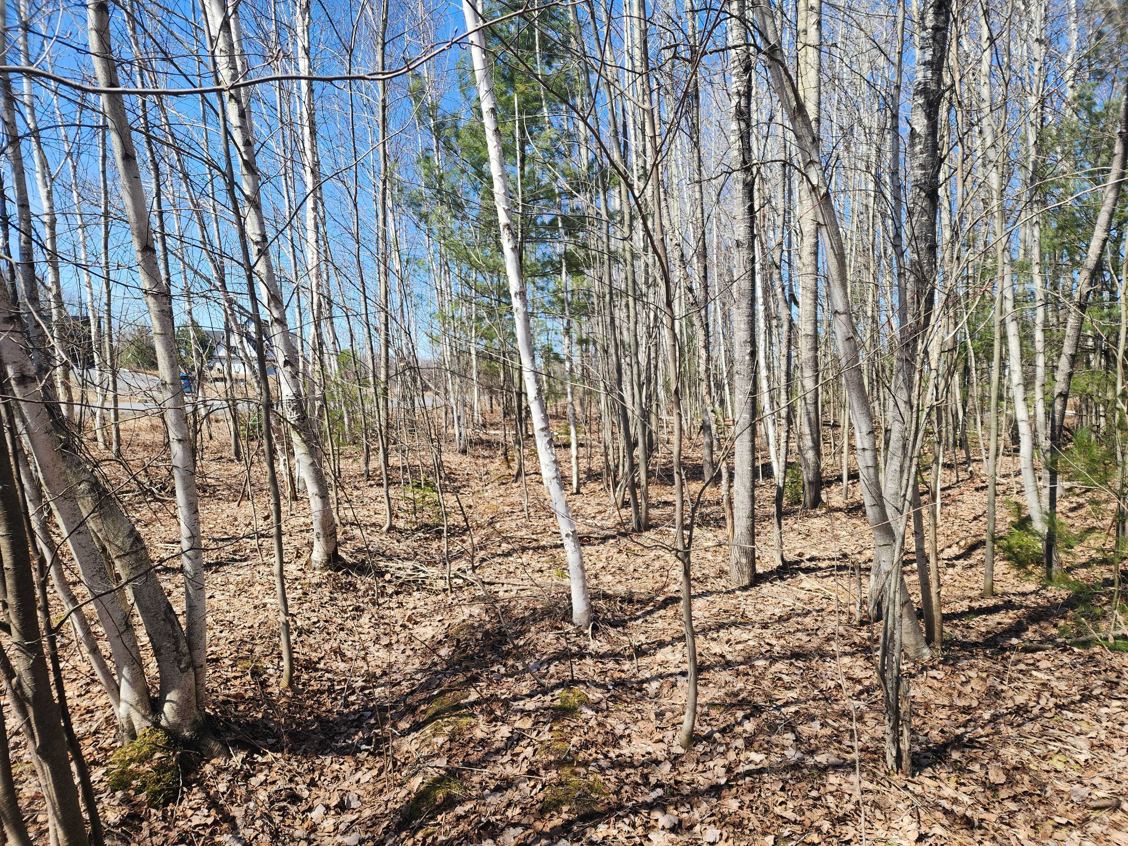 Orleans - Cumberland And Area, ON K4C 0B2,1581 Kinsella DR