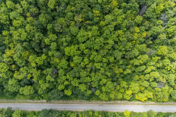 Hastings Highlands, ON K0J 1L0,00 KAMANISKEG LAKE RD