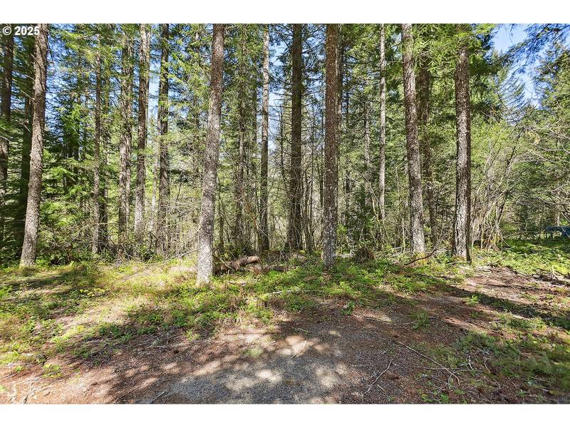 Foster RD, Carson, WA 98610