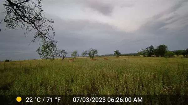 Pottsville, TX 76565,2245 CR 619