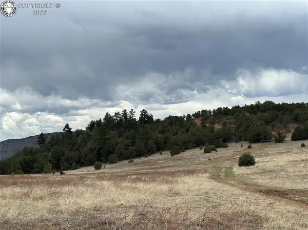 Canon City, CO 81212,0 Old Crow PATH